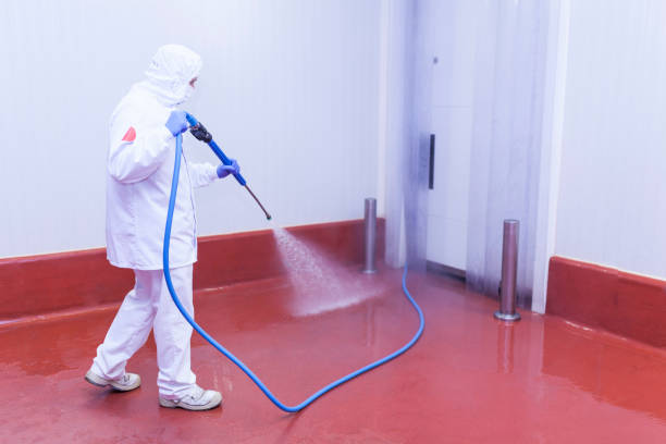 Best Roof Washing  in North Ballston Spa, NY